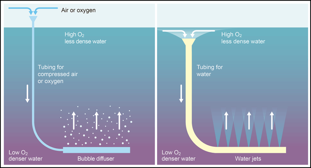 Diagram depicting two key methods for artificially reoxygenating coastal waters: bubble diffusion (left) and downwelling (right)