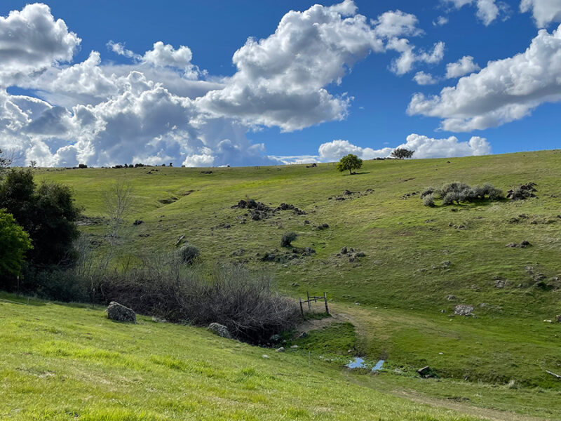 Compost and Biochar Could Boost Carbon Sequestration by Crushed Rock