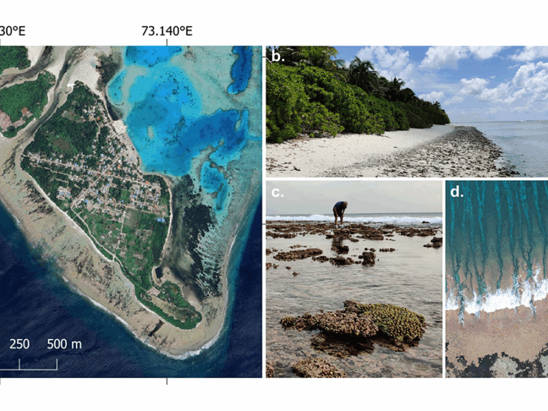 Coastal Models Quantify How Natural Islands Respond to Sea Level Rise