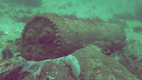 A rusting metal cylinder sits on the bottom of the sea.