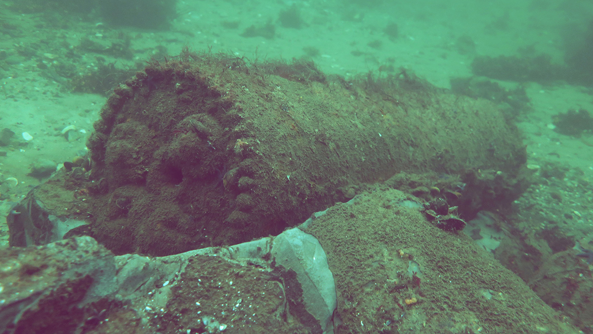 A rusting metal cylinder sits on the bottom of the sea.