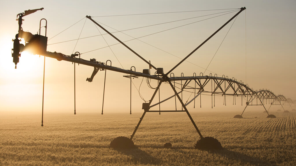 A large machine irrigates crops as the Sun rises in the background. The machine stretches into the distance out of frame and looks similar to a skeleton of a creature with many sets of legs.