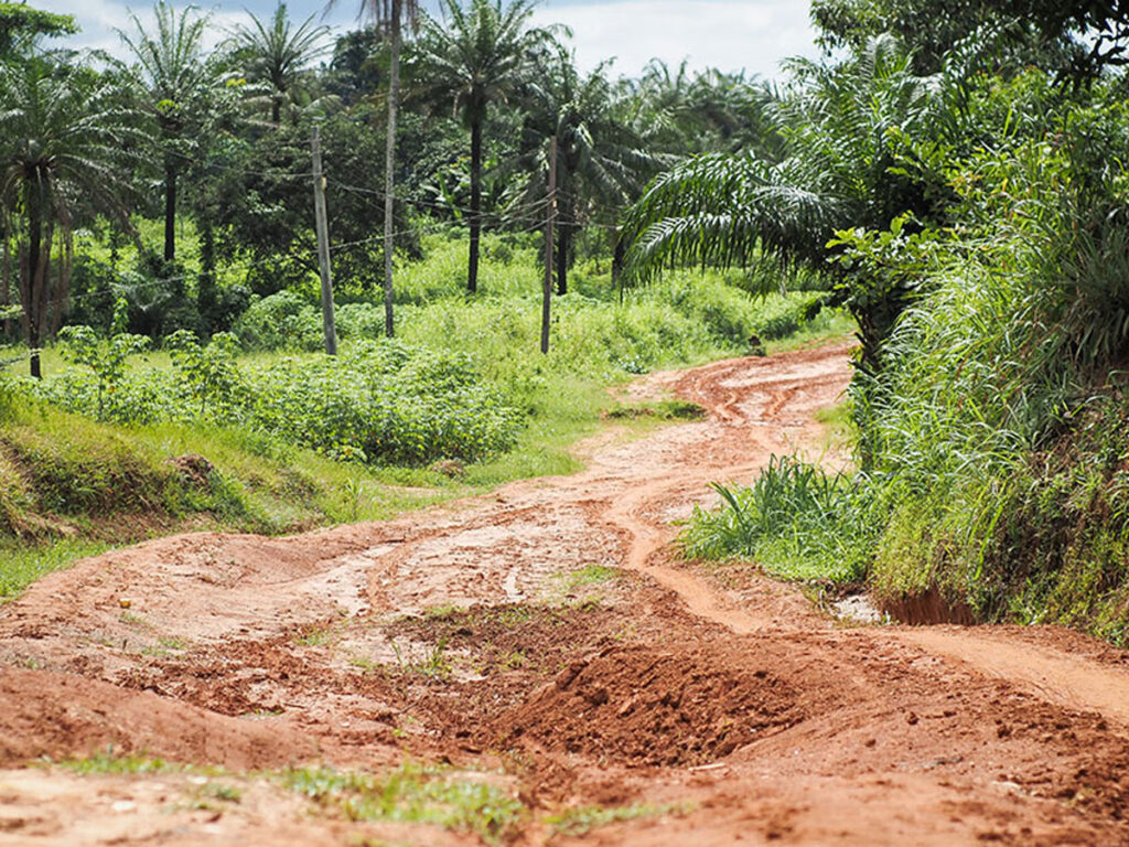 A dirt road winds through a green area.
