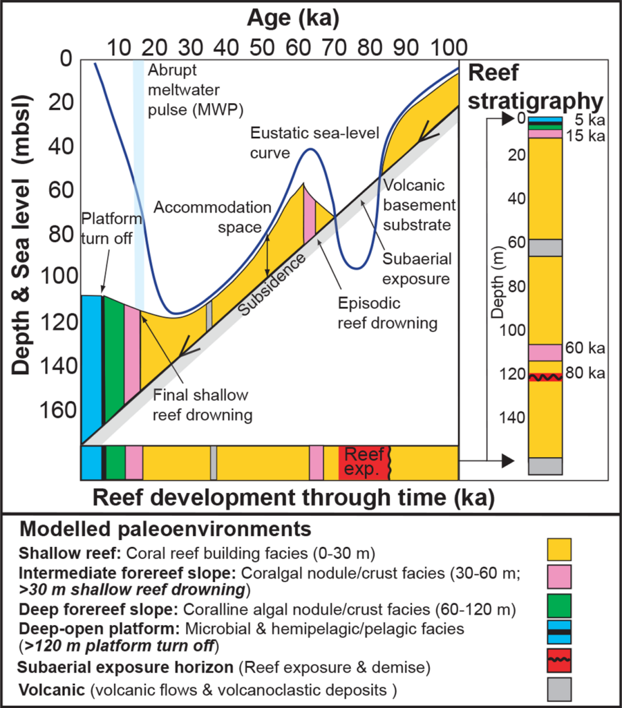 Figure plotting different stages of reef development through time as a function of water depth and sea level.