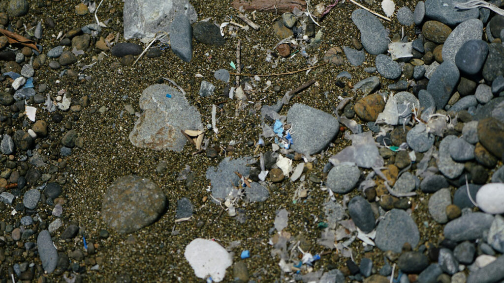 Small plastic fragments on sand and stones.