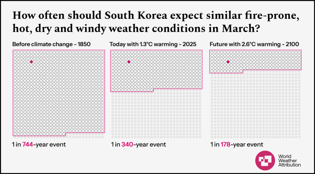 A bar chart shows that in 1850, this would have been a 1-in-744-year event. Today, with 1.3°C of warming, it is a 1-in-340-year event. And in 2100, with 2.6°C of warming, it will be a 1-in-178-year event.