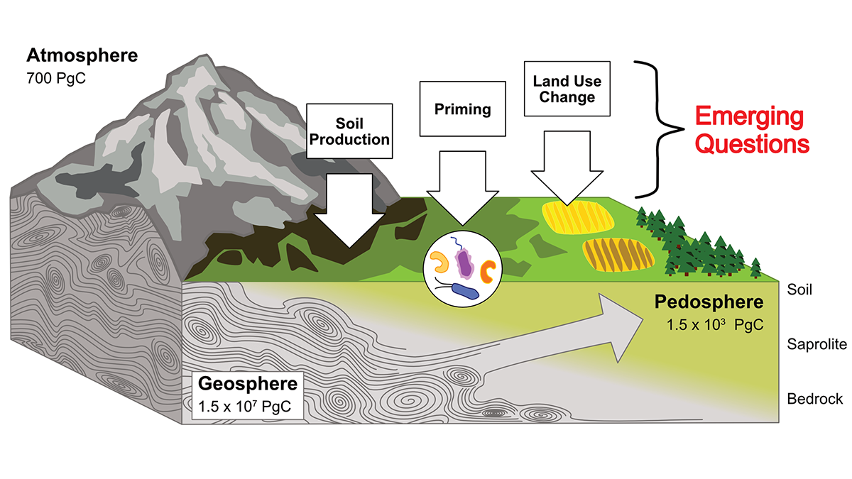 Diagram from the study.