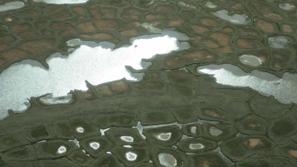 Aerial photo of Arctic ponds.