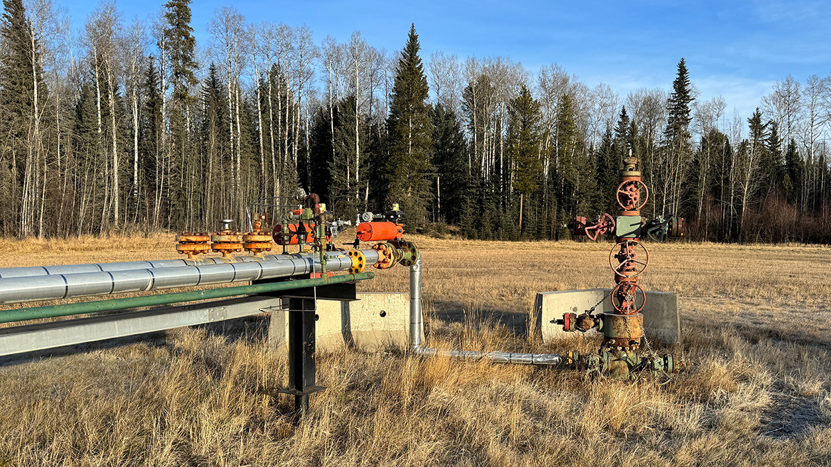A pipe leads to a pump in a brown, weedy field. Evergreen trees and a blue sky are in the background.
