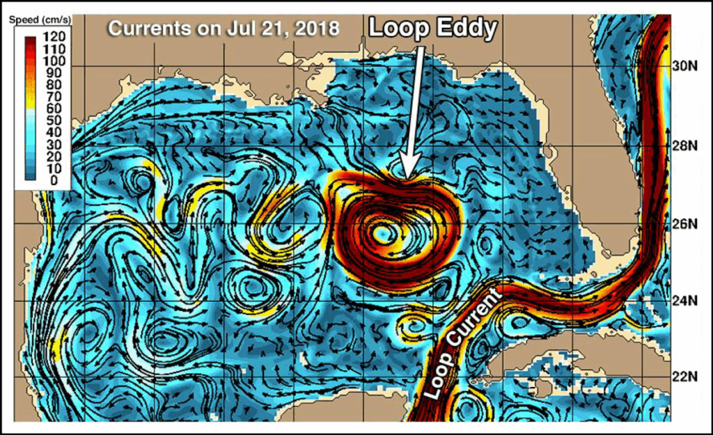 Map of the Gulf of Mexico depicting water flow directions (represented by black arrows) and water velocity measurements (represented in and shades of blue, yellow, and red)