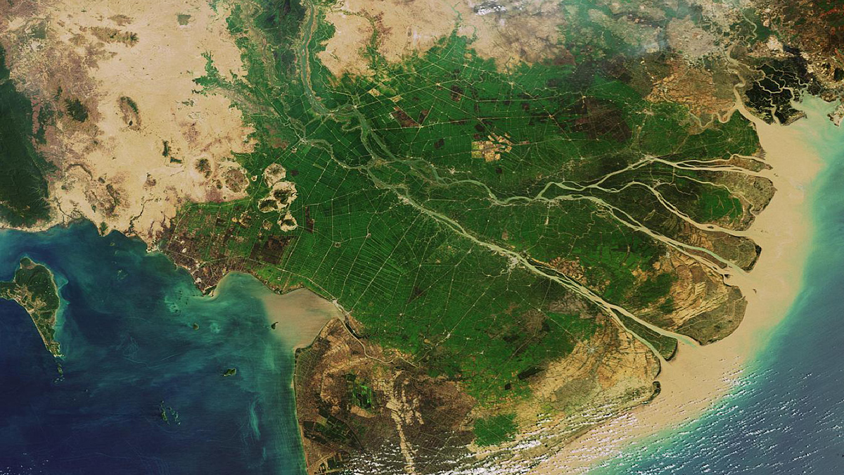 A river delta seen from a satellite. A narrow path of green spreads out to a larger area with branching rivers before giving way to a coastline.