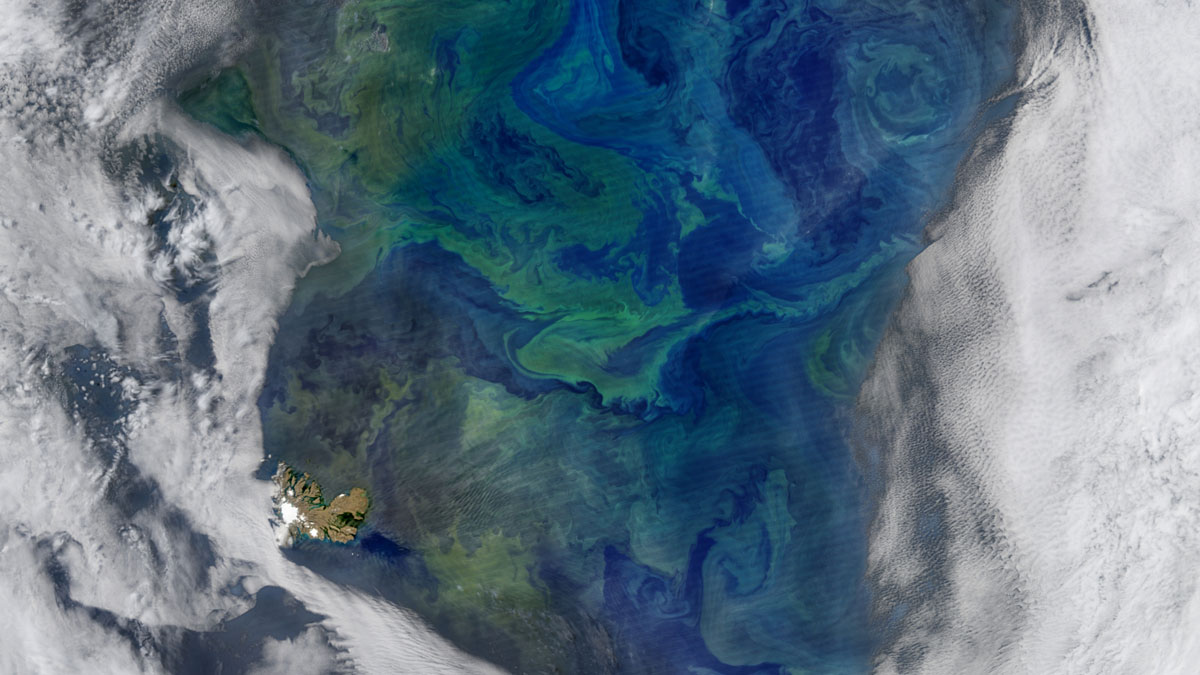 A satellite image shows eddies swirling in a blue ocean surrounded by white ice.