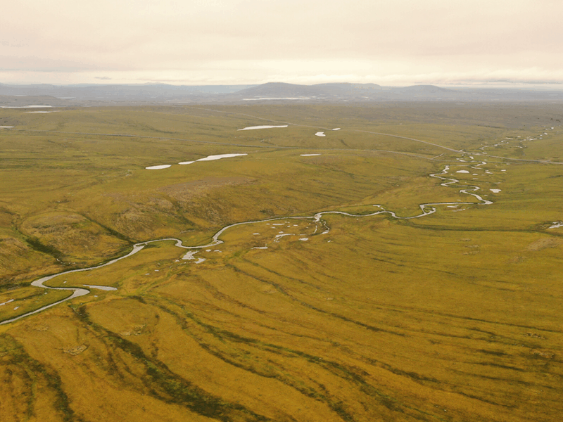 Water Tracks: The Veins of Thawing Landscapes