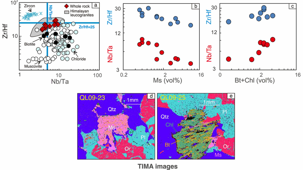 Graphs and TIMA images from the paper.