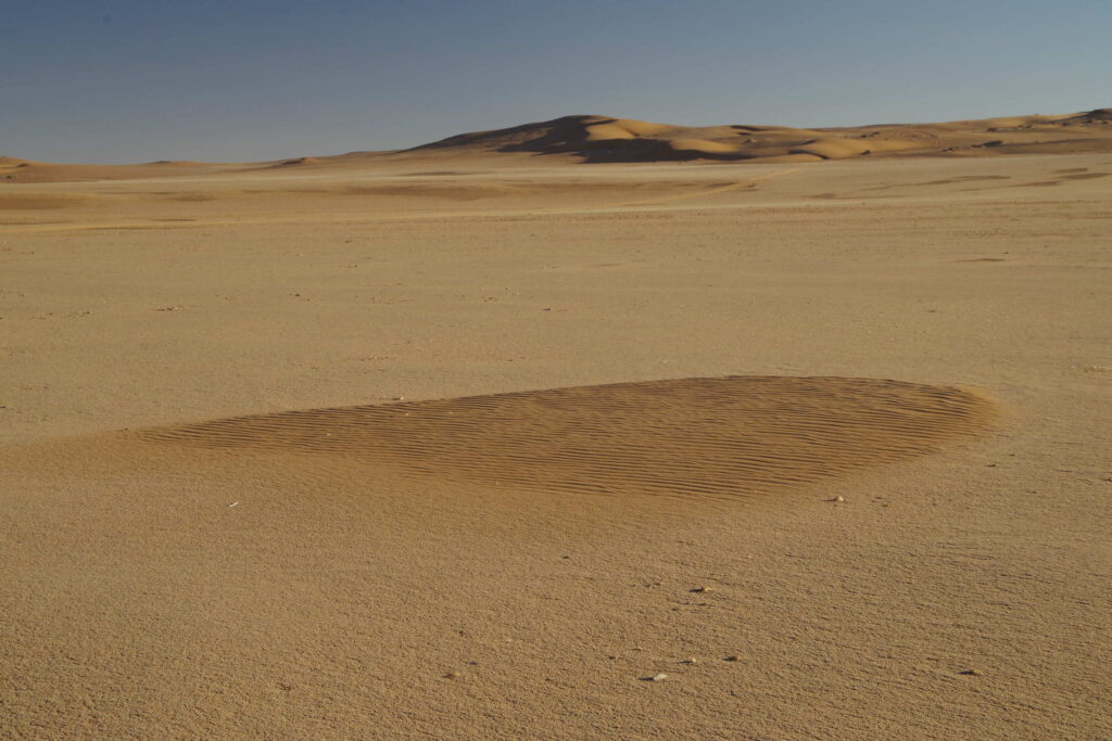 A close-up of a patch of wavy sand in a desert.