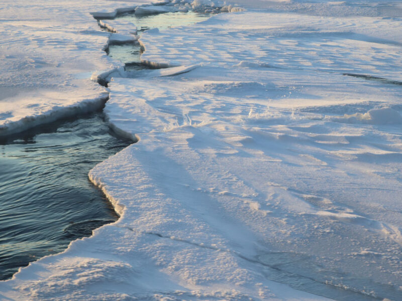 Finding Consensus on Arctic Ocean Climate History