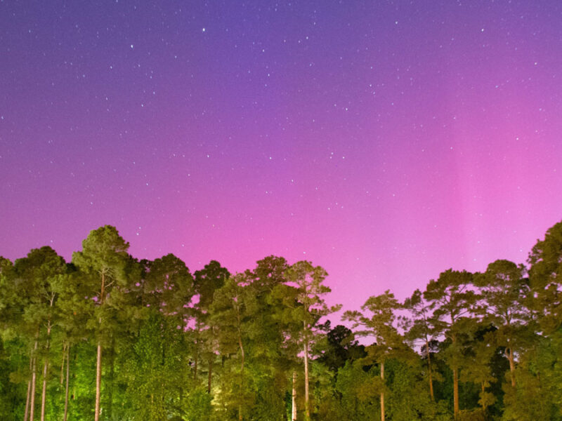 Two Neutron-Monitoring Networks Are Better Than One