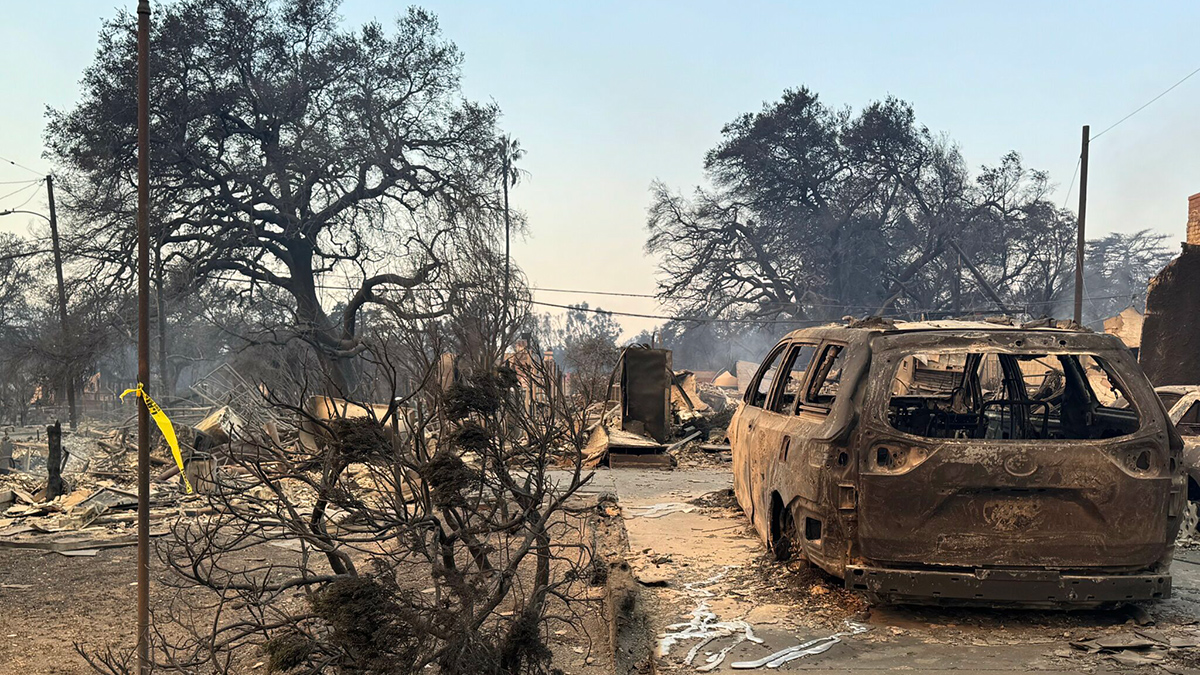 A burned-out car and surrounding trees are in an area that was recently burned by a wildfire.