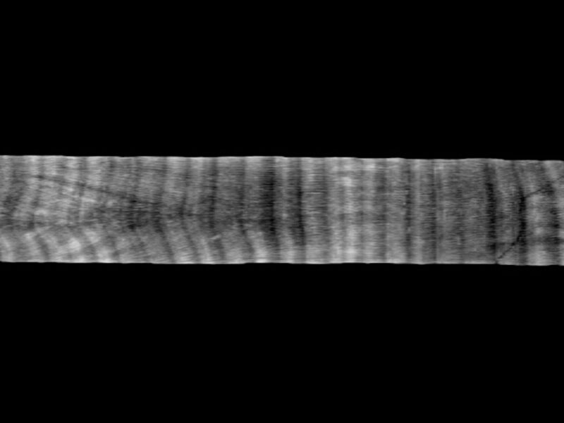 A Coral Core Archive Designed for Transparency and Accessibility