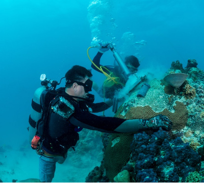 Two scientists in scuba gear use a drill to collect a core from a coral site underwater.