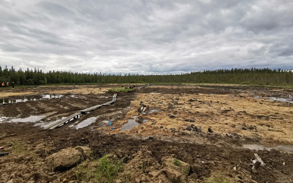 A muddy brown field in a forest