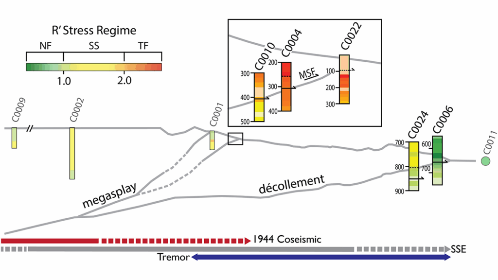 Diagram from the study.