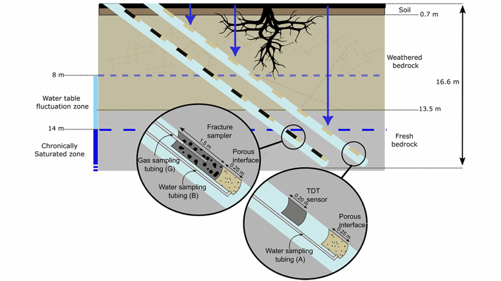 Diagram of the field experiment used in the study.