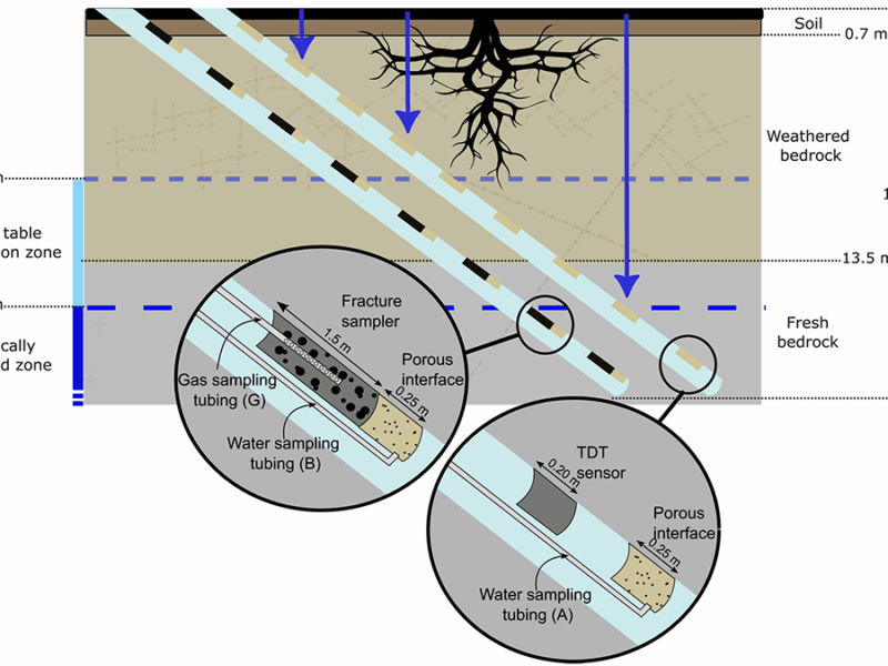 Deep Root Respiration Helps Break Down Rocks