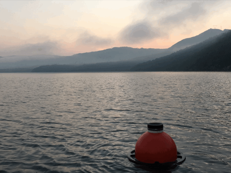 Advances in Ecological Forecasting