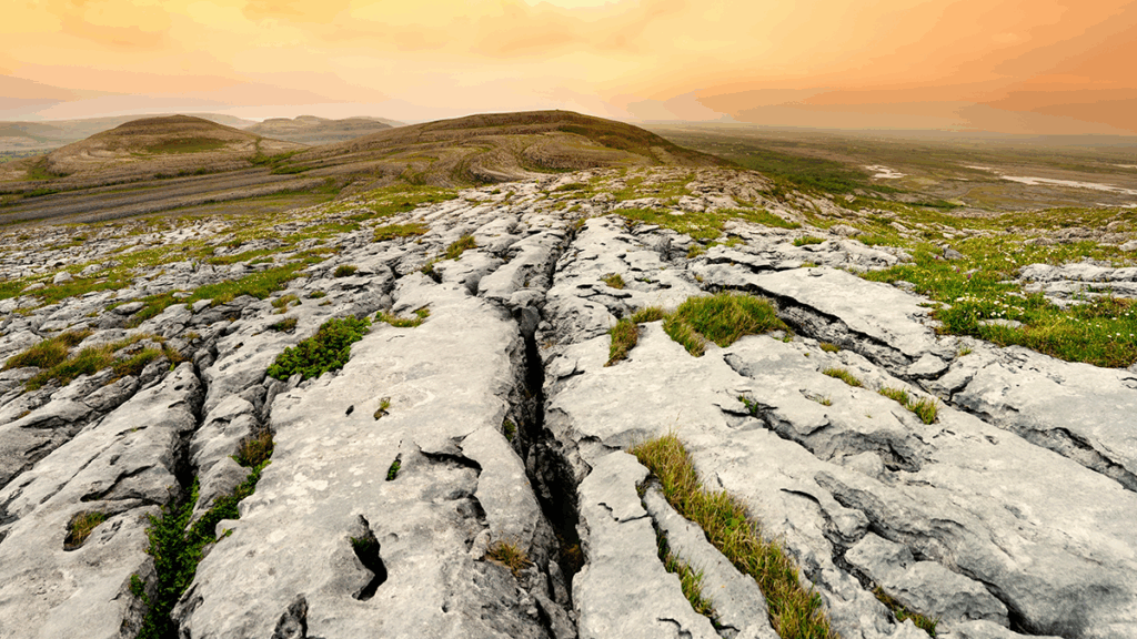 Photo of karst limestone bedrock.