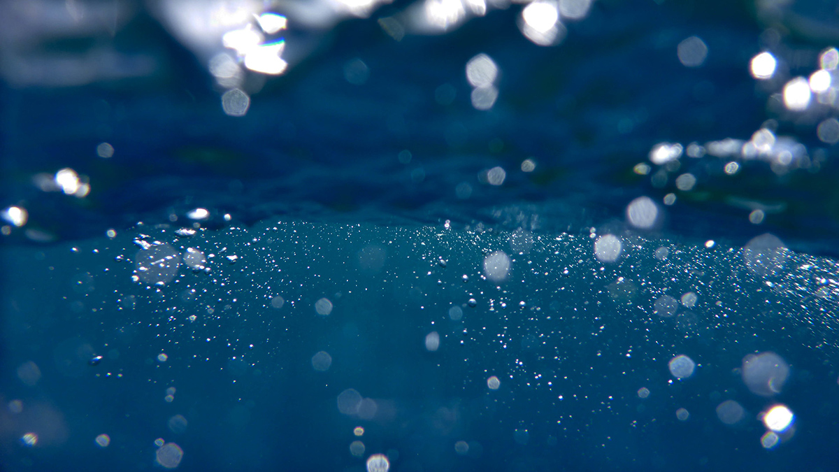 A photo of bubbles near the ocean’s surface, taken from underwater
