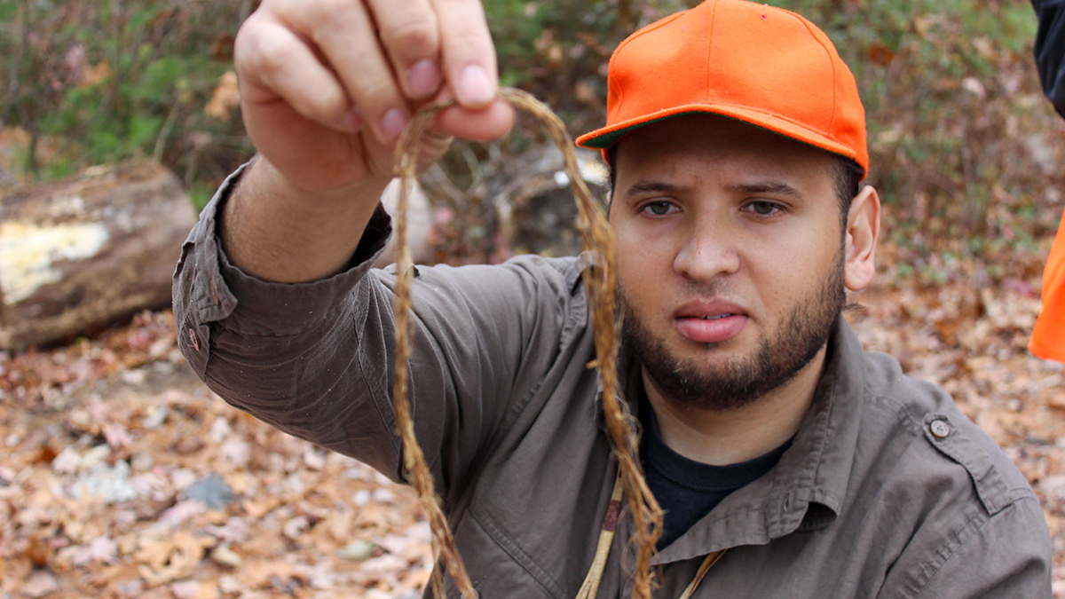 Cassius Spears Jr., wearing an orange hat, crouches in a forest and holds up a brown plant.