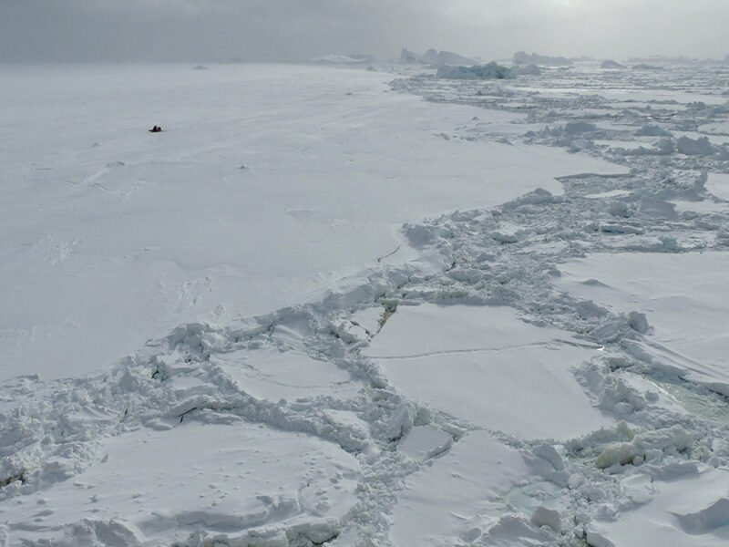 Southern Ocean Salinity May Be Triggering Sea Ice Loss