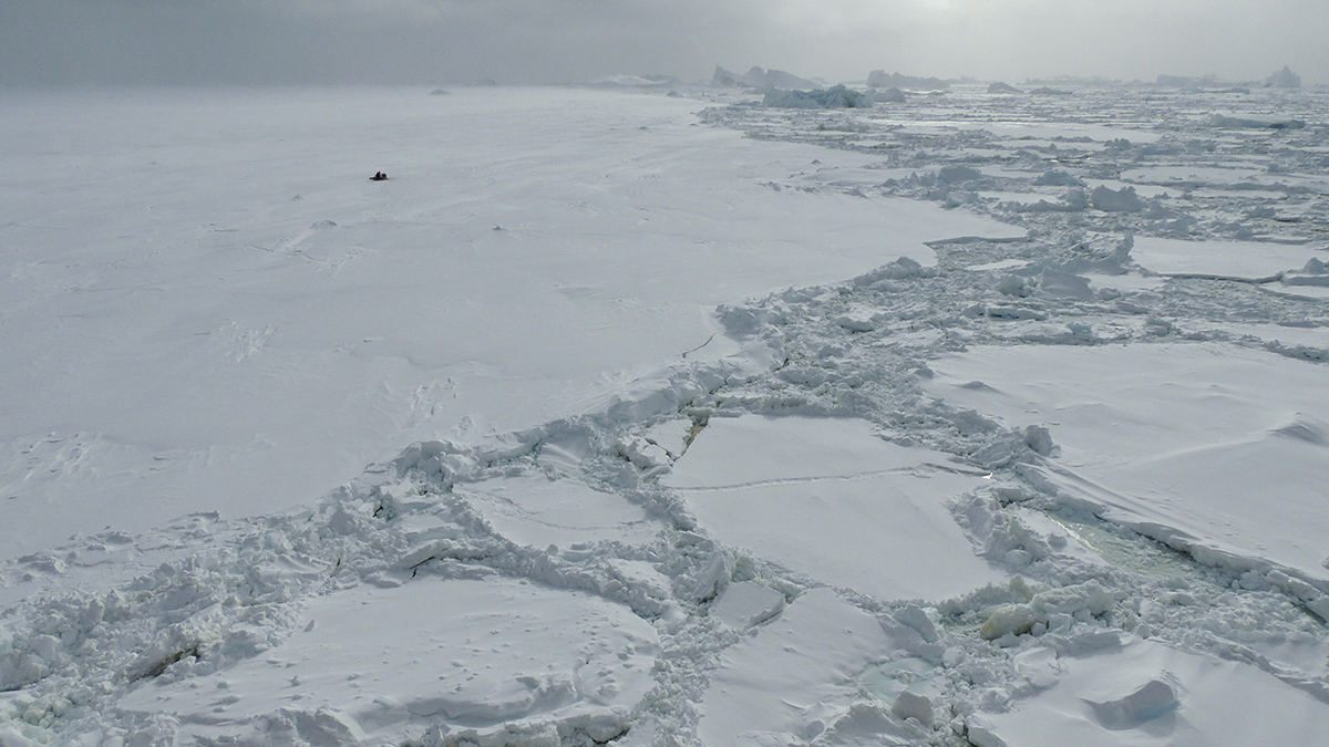 Cracked sea ice seen from above