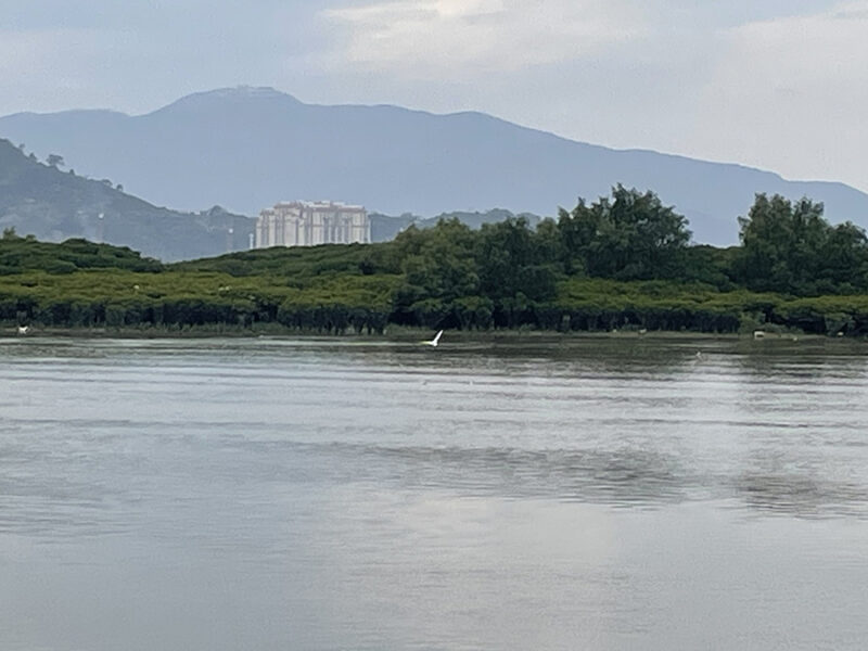 追踪黑碳进入海洋的过程