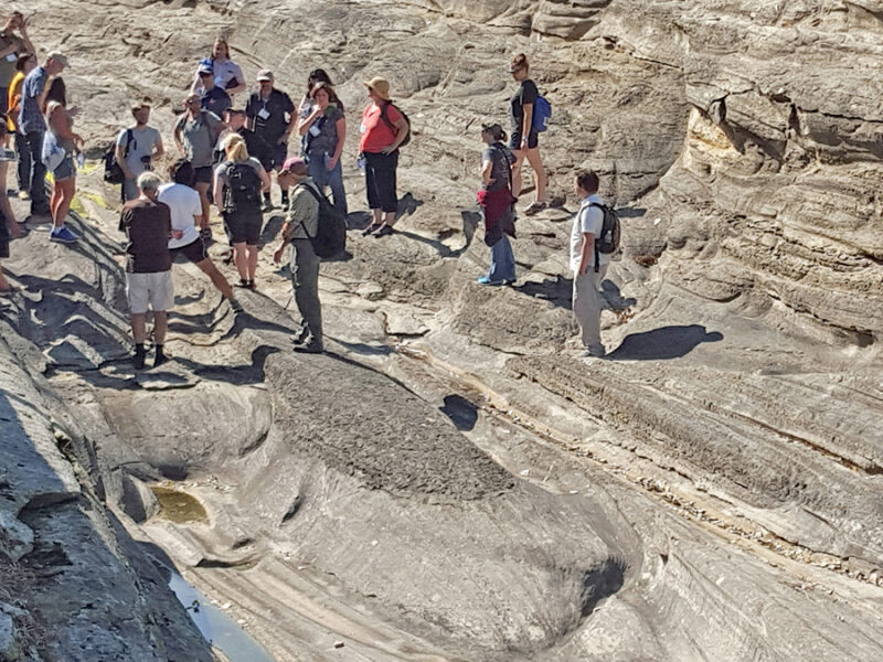 Getting Schooled in Complex Earth System Modeling