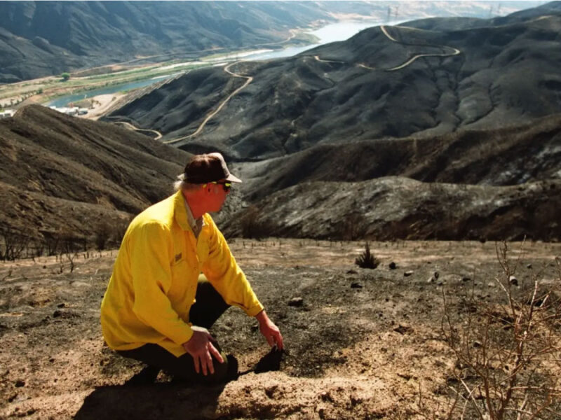 Pollution from Wildfires Can Contaminate Our Water for up to 8 Years, Study Finds