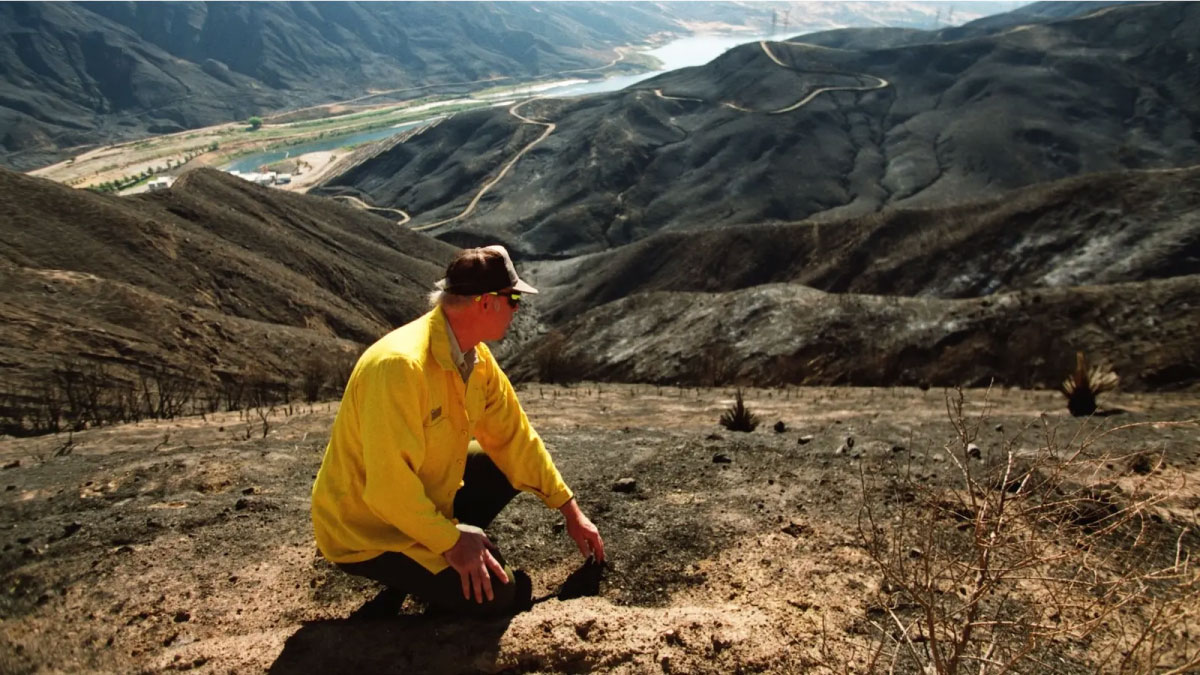 A man in a bright yellow shirt crouches on a hill, overlooking a burned landscape.