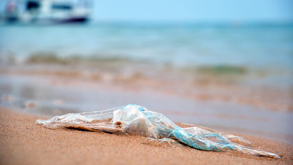 Blue-and-white plastic bag on a beach