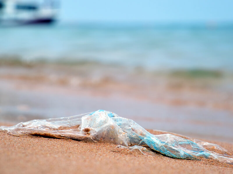 Policy Success: Fees and Bans on Plastic Bags Reduce Beach Trash