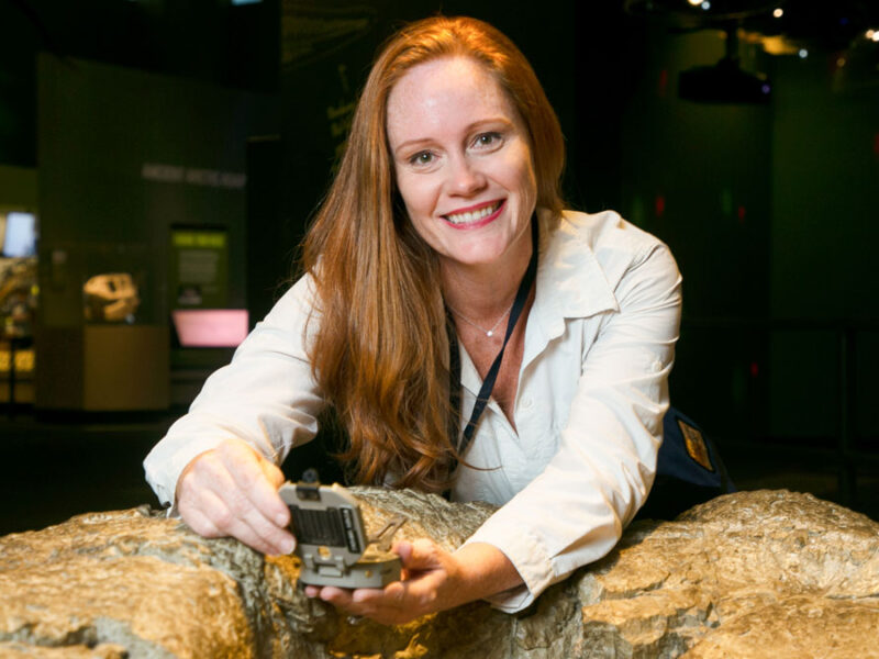Wendy Bohon: Quelling Fears and Sparking Geoscience Joy