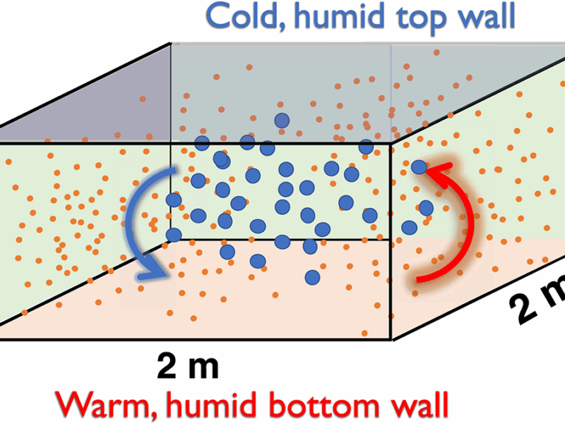 From Aerosols to Clouds: Testing Models with a Convection Cloud Chamber