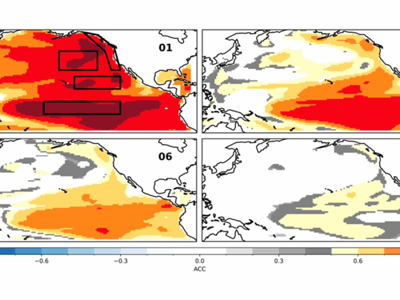 Decadal Forecasts with a SMYLE