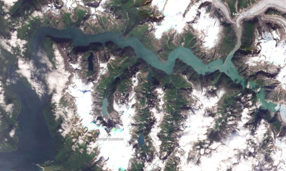 Satellite image of Tracy Arm inlet.