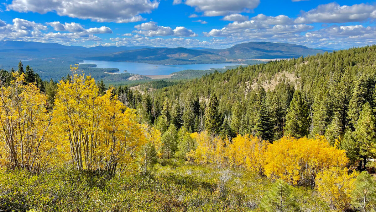 USDA Moves to Rescind Roadless Rule Protecting 45 Million Acres of Wild Area