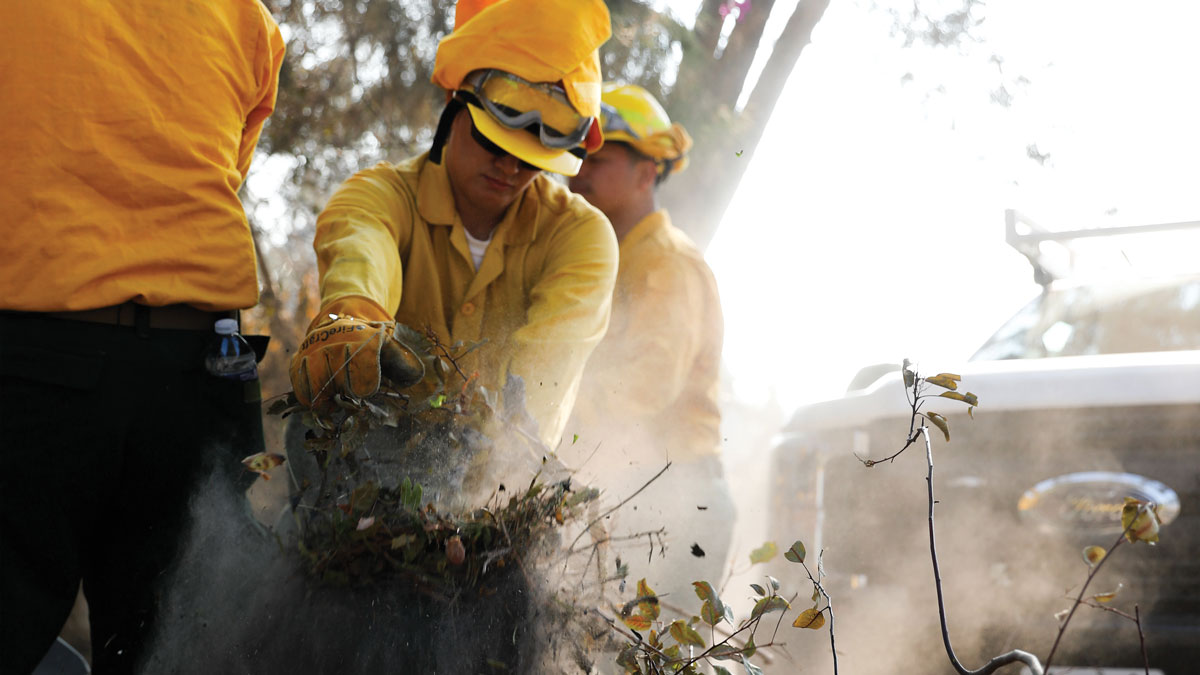 Three men in yellow jackets and hard hats are standing by a tree either cut down or fallen down. The air around them is dusty, and one of the men is lifting a clump of dirt.