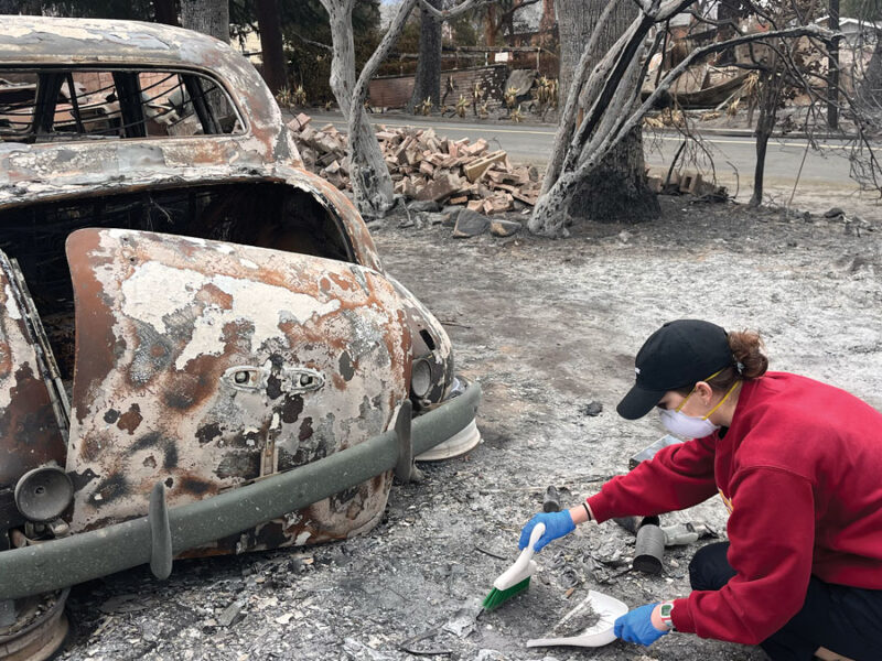 Burning Urban and Wild Land Alike