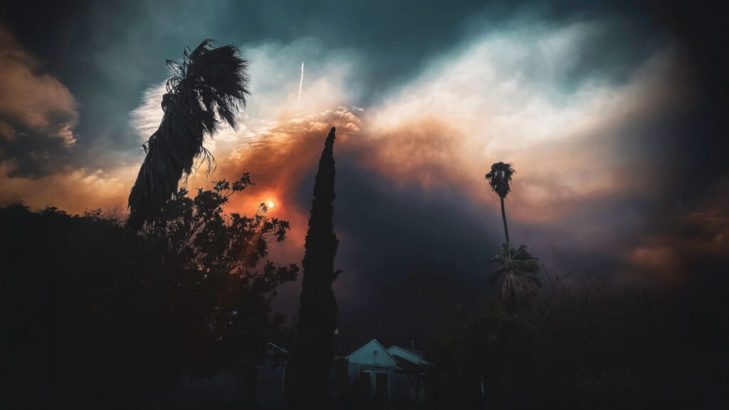 A photo of a sky clouded with smoke, with the Sun nearly blotted out, and palm trees silhouetted against the orange glow.