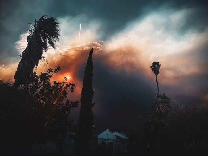 Fallout from the Fires