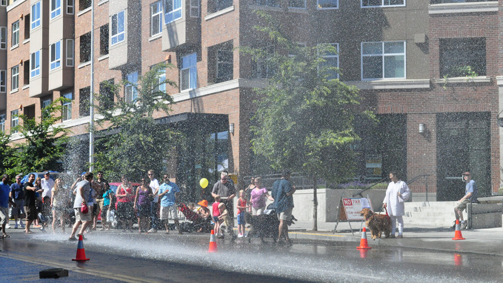 A spray of water droplets falls onto a city street on a sunny day in front of a brown, multistory building. A crowd of people and dogs watch and play in the spray.